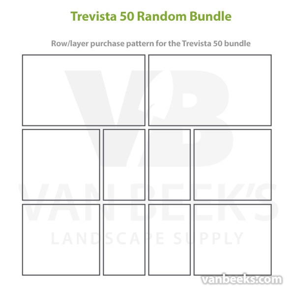 BWS Trevista 50 Concrete Paver